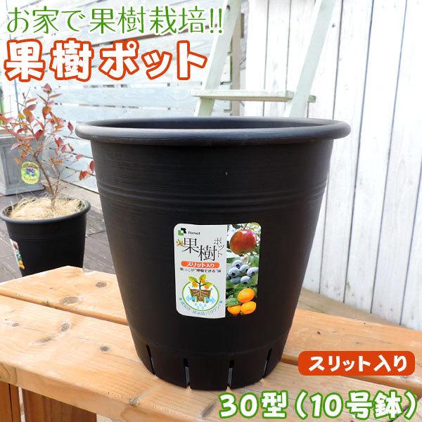 植木鉢 『果樹ポット』10号鉢（30型・黒・スリット入り） :u-137-black 