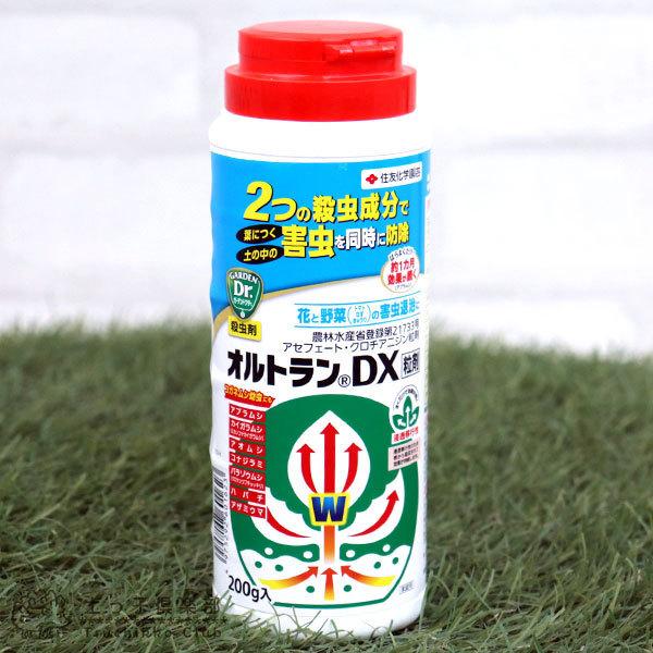 殺虫剤 オルトラン Dx 粒剤 0g U 154 花と緑の専門店 土っ子倶楽部 通販 Yahoo ショッピング