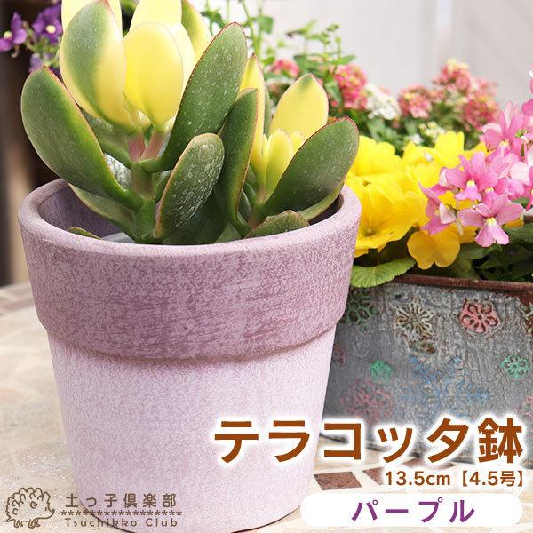 テラコッタ 』 13.5cm 鉢 ( 紫 ・ パープル ) : 花と緑の専門店 土っ子