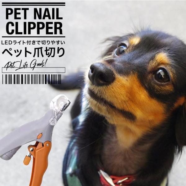 ybgpܐ؂ lCPA g~O LEDCg  ybgpi g僋[y 5{  L Cg PA   PK2