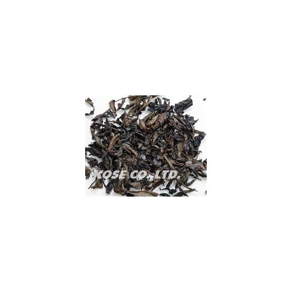 烏龍茶 水仙5級 ウーロン茶水仙5級 250g ウーロンチャスイセン 1パック(250g) :162503:Professional Foods 通販 烏龍茶 水仙5級 ウーロン茶水仙5級 250g ウーロンチャスイセン 1パック(250g)