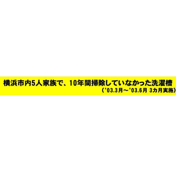 バイオ カビ クリーナー 洗濯層クリーナー 洗濯機用 バイオ アイ ボール Buyee Buyee Japanese Proxy Service Buy From Japan Bot Online