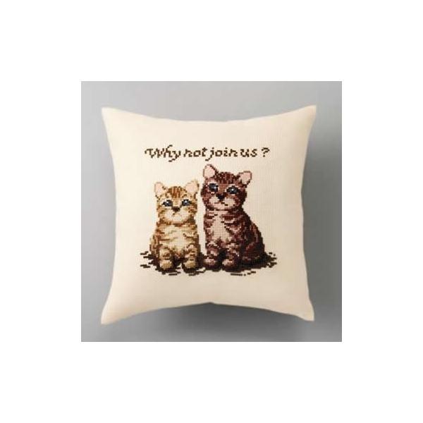 イLbg@6030(x[W)@hbOXELbc@ꏏɂ