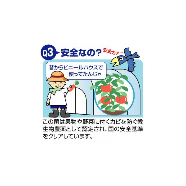バイオでカビよけ君 自然 抑制 カビ防止 風呂 部屋 防カビ 洗面 窓際 予防 シンク下 パッキン におい 菌 Buyee Buyee Jasa Perwakilan Pembelian Barang Online Di Jepang
