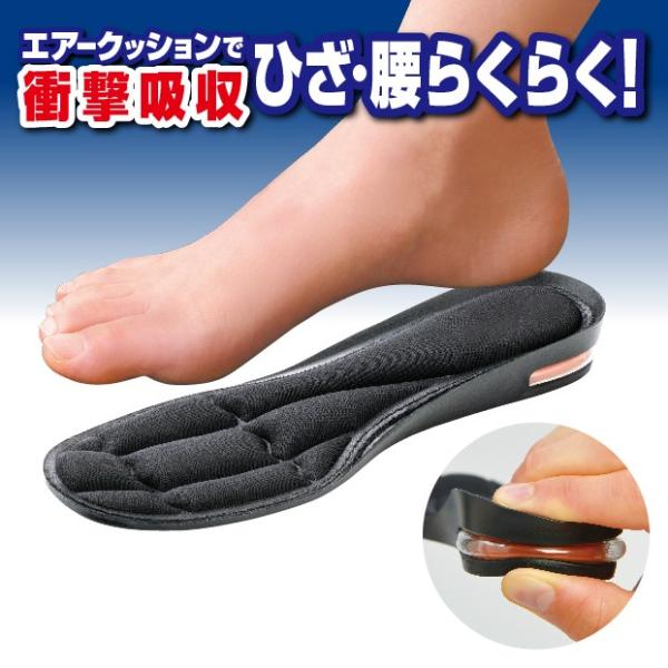 C ~ GA[NbV GA[tBbgC\[ ᔽ GA[ NbV Cw e Ռz C C  V[Y