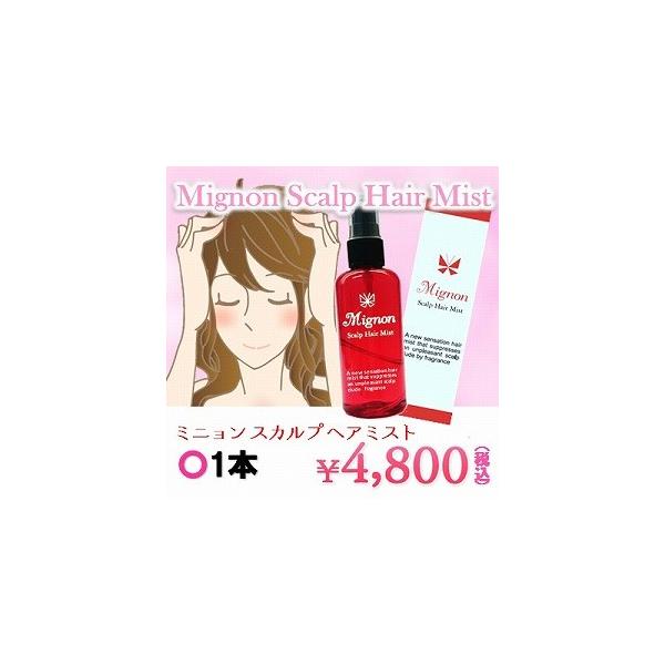  ̏L fIhg Mignon@Scalp@Hair@Misti~j@XJv@wA@~Xgj1{  ӂ   XJv tOX jIC L