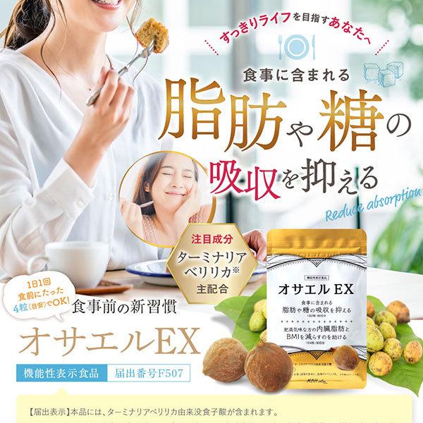 [֑Ή b l 얞 ITGEX 120 b BMI    ۑY FY