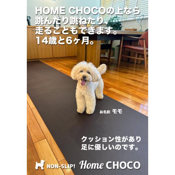 �����̂��߂̎����p ����~�߃}�b�g HOME CHOCO III�m��70cm�~����4m�n�z�[���`���RVer.III �h�b�O�}�b�g �y�b�g�}�b�g ���� ���i�摜4