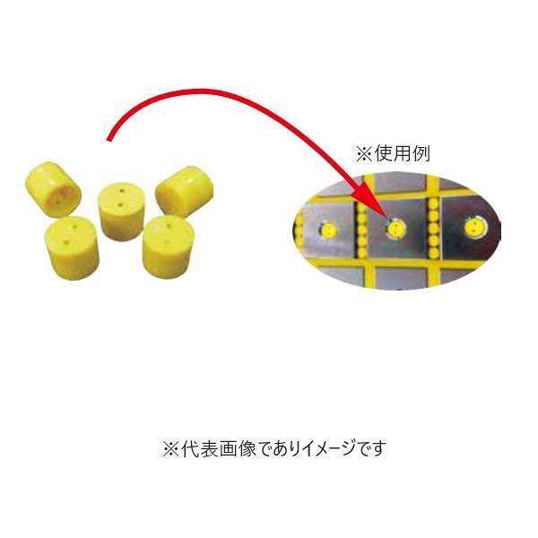 ファーステック EEPM-IBC50 ボルト穴キャップ