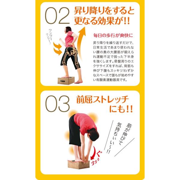 ダイエット 器具 踏み台昇降 ダイエット 器具 昇降運動 傾斜がついた踏み台 どこでもエクササイズ フミッパー Buyee Buyee 提供一站式最全面最專業現地yahoo Japan拍賣代bid代拍代購服務 Bot Online