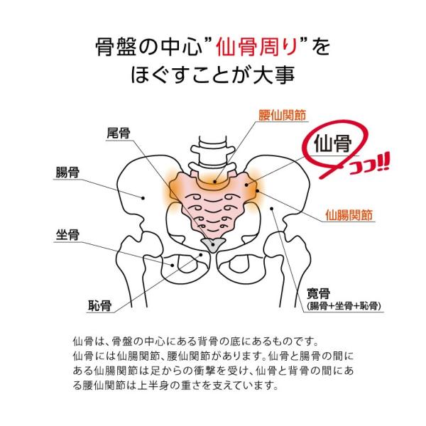 腰 背中 リラックス 腰痛 仙骨 仙腸関節 ほぐし 姿勢 骨盤 背中 ストレッチ コシレッチ プロイデア ドリーム Buyee Buyee 日本の通販商品 オークションの代理入札 代理購入