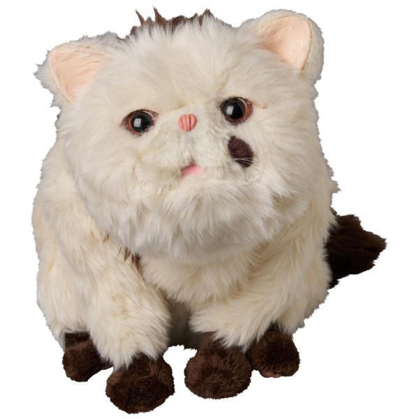 project1-6_4530956622842