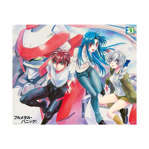 アクシア フルメタ キャンバスアートシリーズNo.049-F30th フルメタル