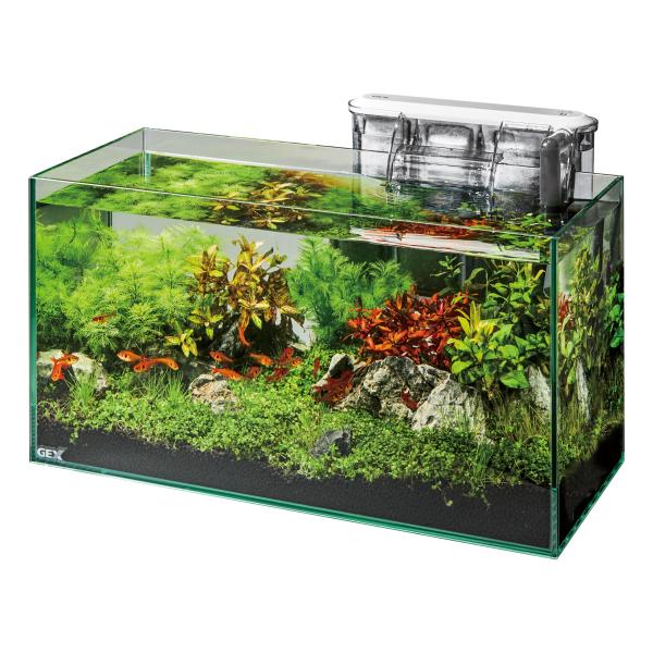 他サイト： GEX ジェックス グラステリアスリム450 6点セット DCポンプ フレームレス水槽 W45×D20×H22cm 約17L【EC】の商品画像