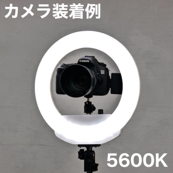 CuzM/Bep_OCgobe[^CvSizCgj_KR-12