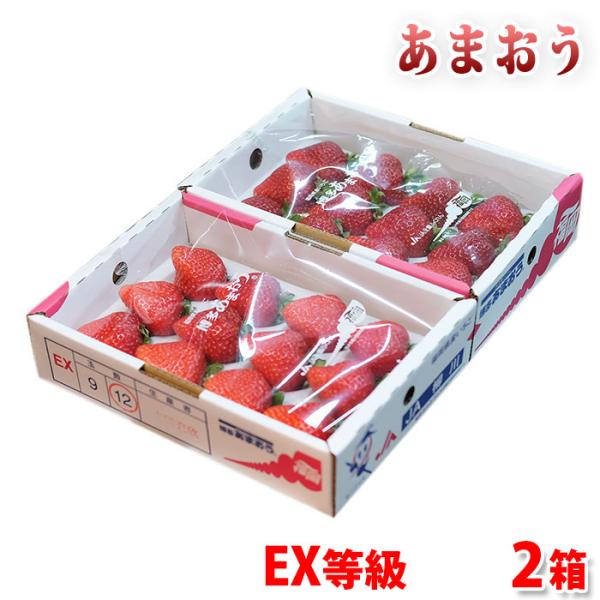 関西四国　あまおう 二級品　2箱 Amazon.co.jp: 福岡県産 いちご あまおう DX等級 平詰め 約300g