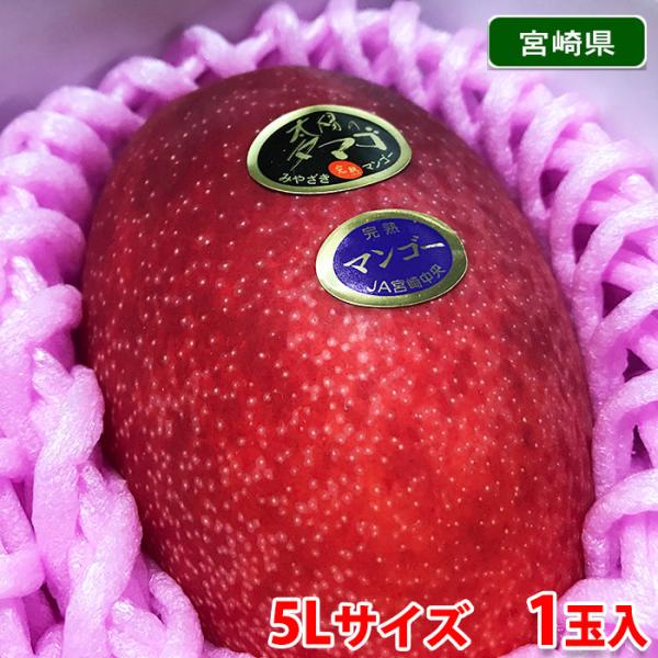 宮崎県産　完熟マンゴー　太陽のタマゴ　秀品　5Lサイズ　1玉入り （化粧箱）