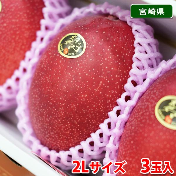 宮崎県産 完熟マンゴー 太陽のタマゴ 秀品 2Lサイズ 3玉入り （化粧箱