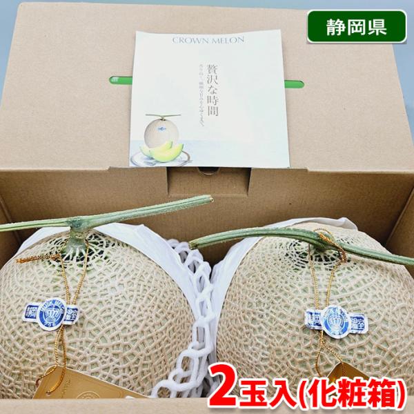 【送料無料】静岡県産　マスクメロン　2玉（約2.8kg）