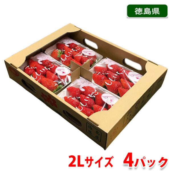 徳島県産　さくらももいちご　2Lサイズ　4パック入り箱（ご家庭用）