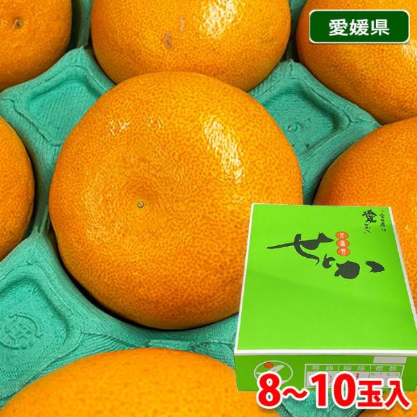 cyan　秀品せとか4kg×２箱ぐるりん 愛媛県産 せとか 秀品 3L〜4Lサイズ 8〜10玉入 3kg （化粧箱） 国産