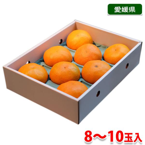 愛媛県産 甘平（かんぺい）秀品 3L〜4Lサイズ（8〜10玉）約3kg（化粧箱