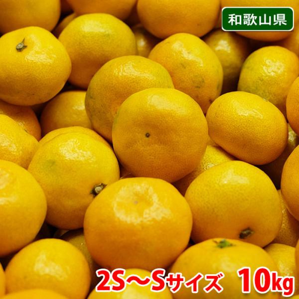 くまーん❗️和歌山県産　有田みかん　秀　L 10kg✖️6箱 くまーん❗️和歌山県産 有田みかん 秀 L 10kg✖️6箱 有田