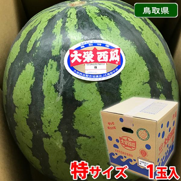 promart-jp_11610044-2