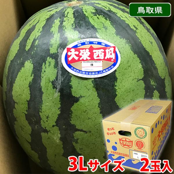 鳥取県産 すいか 大栄西瓜 秀品 3Lサイズ 2玉入り （約8〜9kg×2玉） 箱
