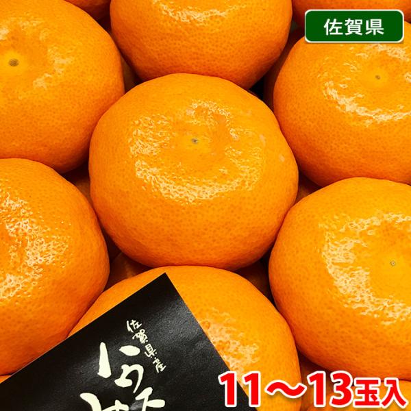 ⑴佐賀県唐津産ハウスみかん 10kg 約300玉 佐賀県産 ハウスみかん 秀品 11〜13玉入り 約1.0kg以上（化粧箱