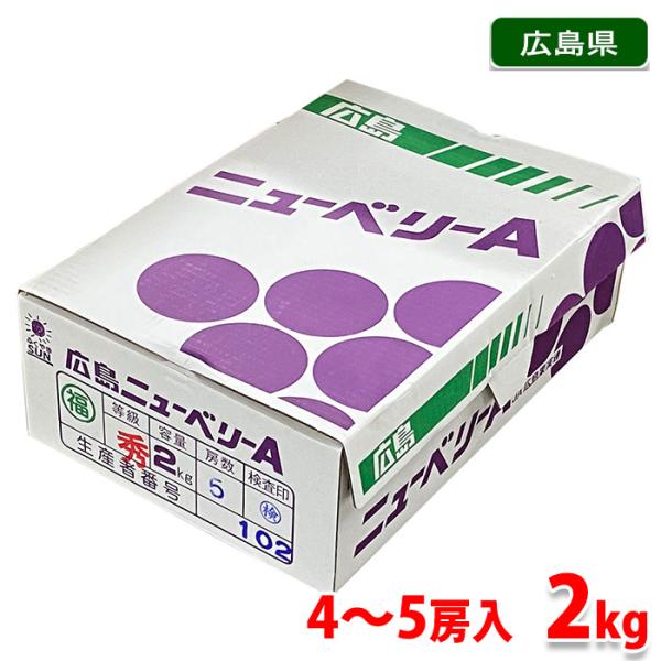 広島県産　ぶどう　ニューベリーＡ　秀品　2kg　4〜5房入り （箱） 国産 フルーツ