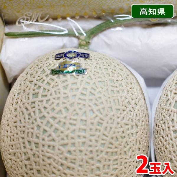 高知県産 アールスメロン 秀品 2玉入り （箱） : 生鮮卸売市場