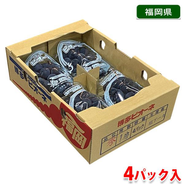 黒ニンニク  ピオーネ4房5房各1箱 黒ニンニク ピオーネ4房5房各1箱 楽天市場】ピオーネ 4房の