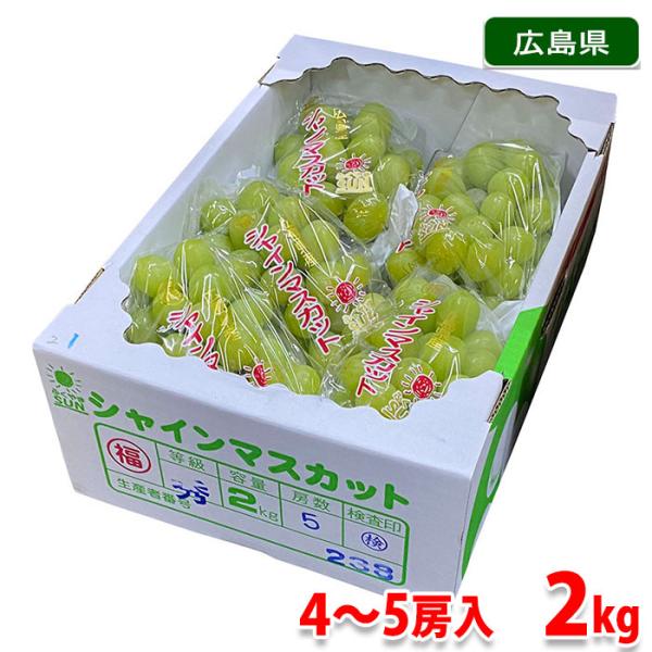 広島県産 シャインマスカット 秀品 4〜5房入り 2kg （箱） : 生鮮卸売