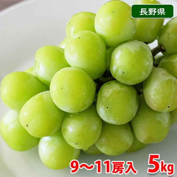 本日ラスト！！岡山県産【シャインマスカット】秀品　9房　5kg！ Amazon.co.jp: シャインマスカット ジュエルセレクション 岡山県