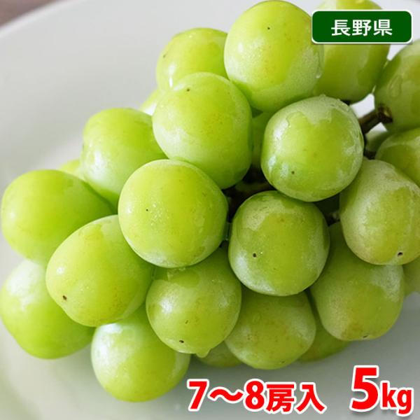 長野県産 シャインマスカット 秀品 7〜8房入 5kg : 生鮮卸売市場