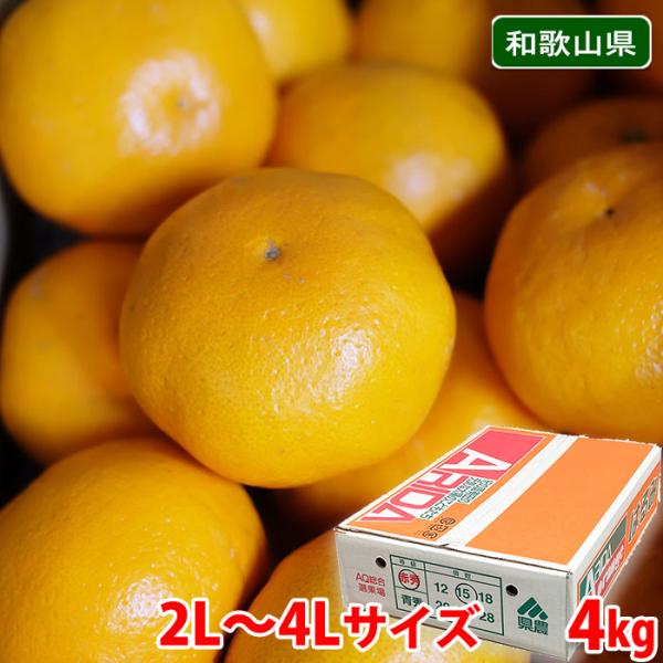 和歌山県産 はるみ 秀品 2L〜4Lサイズ 4kg （箱） 国産 ギフト
