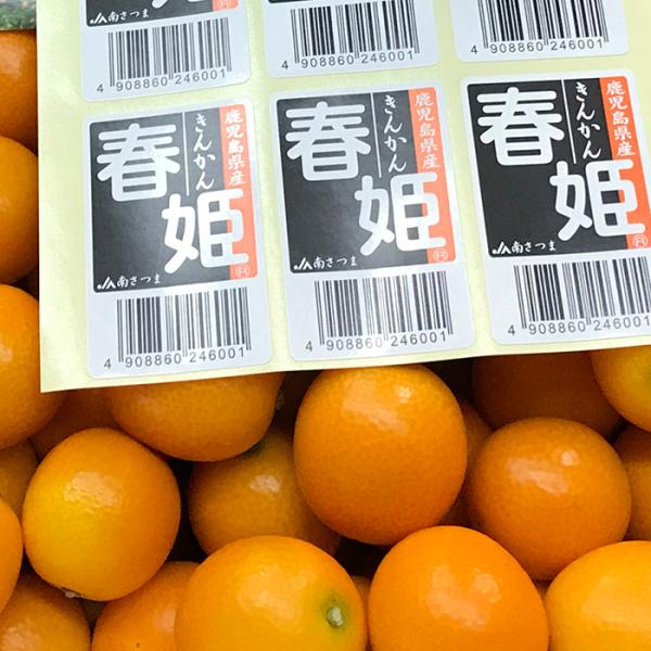 promart-jp_11610157-1_2_d_20260121111007