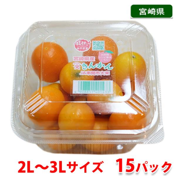 宮崎県産温室金柑　家庭用　3Ｌ箱込み5キロ 楽天市場】宮崎県 ”温室きんかん” 秀品 2L〜3Lサイズ 約1kg 化粧箱