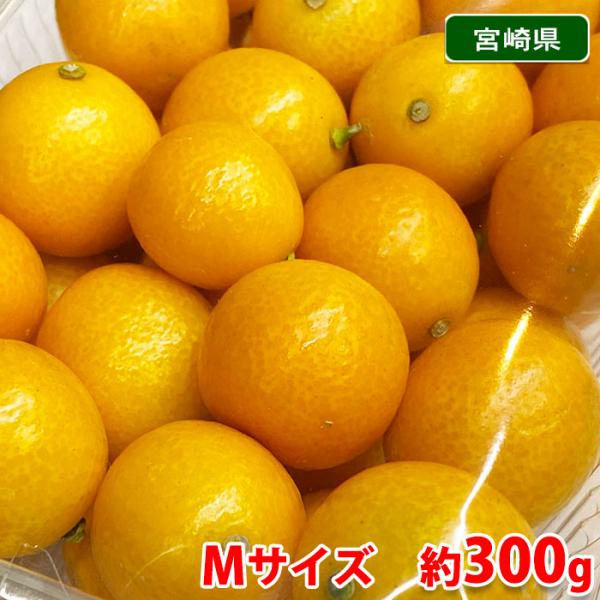 宮崎県産 金柑 （きんかん） Mサイズ 約300g 1パック : 生鮮卸売市場