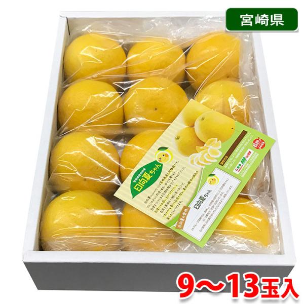 宮崎県産 日向夏 「日向夏ちゃん」 9〜13玉入り 2kg (化粧箱 宮崎県産 日向夏 「日向夏ちゃん」 9〜13玉入り 2kg (化粧箱