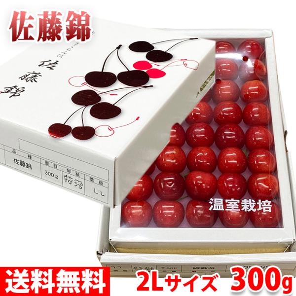 さくらんぼ 箱の人気商品 通販 価格比較 価格 Com