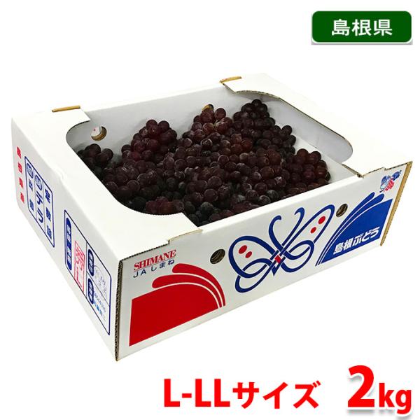 promart-jp_11610214