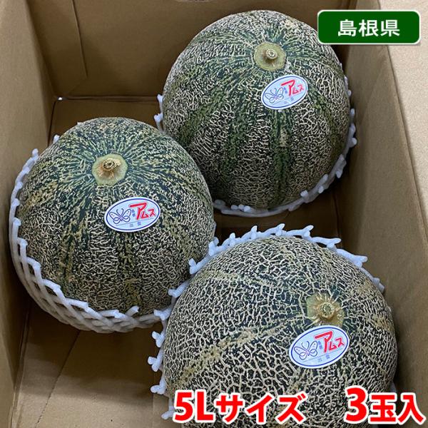 島根県産 アムスメロン （益田メロン） 秀品 5Lサイズ 3玉入り （箱