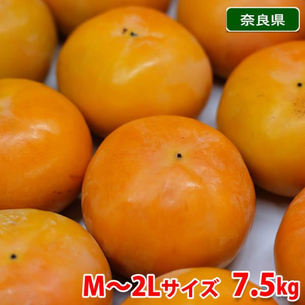 奈良県産　富有柿（ふゆがき）　秀品　M〜2Lサイズ　約7.5kg