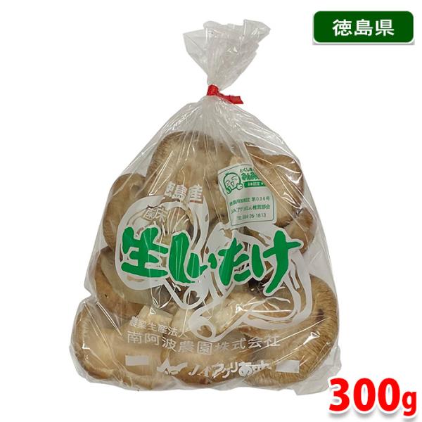 promart-jp_11610295-2