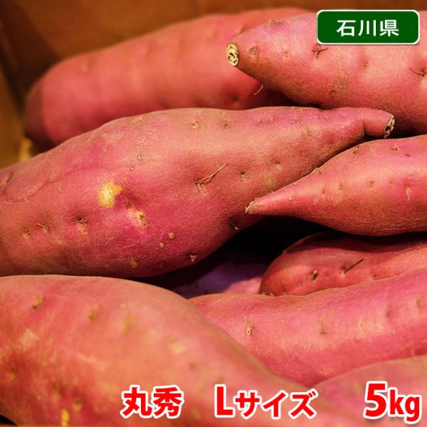 ホクホクとした粉質な食感と甘みが特徴のサツマイモ品種「五郎島金時」。日本海に面す金沢市五郎島の砂丘地が育んださつまいもです。五郎島金時は、歴史が古く、加賀野菜のブランド商品ですが、ラグビーの五郎丸選手と名前が似ていることから人気が急上昇して...