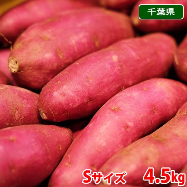 千葉県産（JAかとり）さつまいも パープルスイートロード 秀品 S