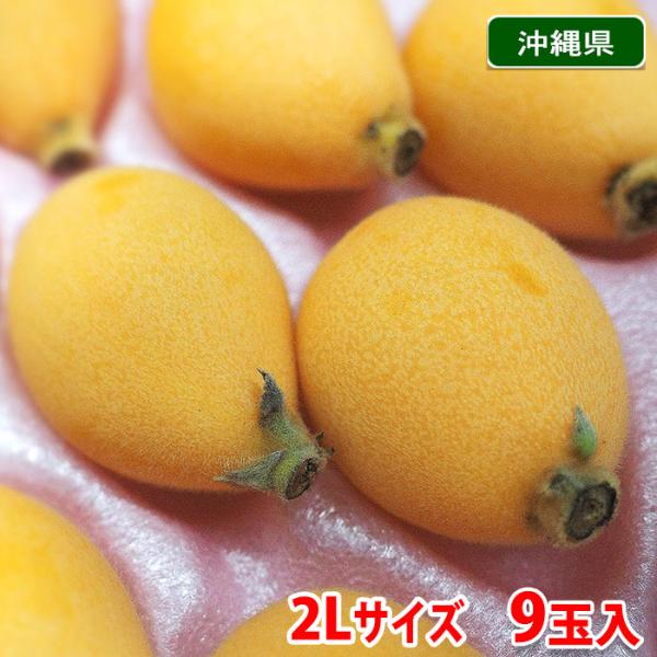 びわ 箱 フルーツの人気商品 通販 価格比較 価格 Com