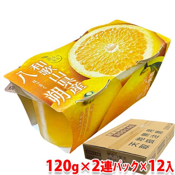 promart-jp_11610383-2